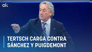 Tertsch cita a Sánchez La amnistía es inconstitucional no cabe en nuestro estado de Derecho [upl. by Viafore238]