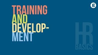 HR Basics Training and Development [upl. by Yenruoc]