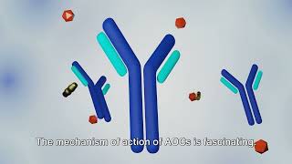 Unraveling the Power of AntibodyOligonucleotide Conjugates [upl. by Sunday320]