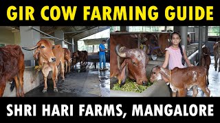 Cow Dairy Farming in Telugu  4ఆవులతో మొదలు పెట్టి 40ఆవులు కొన్నాము Tone Agri [upl. by Drucilla]