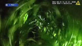 Bodycam shows police finding a missing 3year old in a cornfield [upl. by Neva]