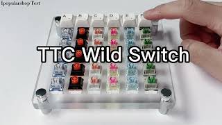 TTC Switches Sound Test [upl. by Peddada339]