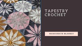 Tapestry Crochet [upl. by Alys335]