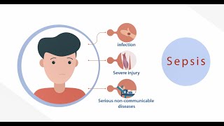 Blood Culture in the Diagnosis of Sepsis [upl. by Aihsila]