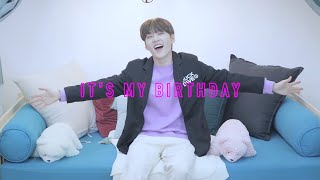 DONGKIZ동키즈 AnneMarie  Birthday WONDAE ver  VOCAL COVER [upl. by Heffron]