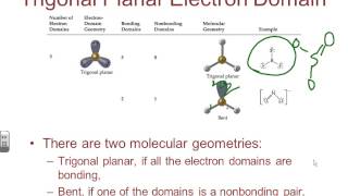 BBrown AP Chapter 9192 Notes [upl. by Richter]