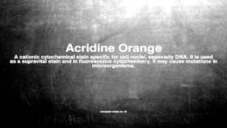 Medical vocabulary What does Acridine Orange mean [upl. by Doroteya]