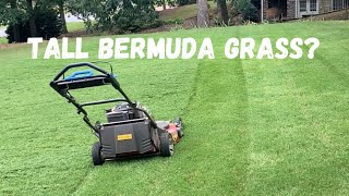 Mowing Bermuda Grass Tall Once Per Week  Real Homeowner Lawncare [upl. by Holtorf]