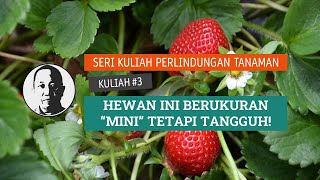 Perikehidupan dan Pengelolaan Nematoda Parasitik Tanaman [upl. by Enibas]