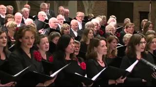 JUBILATE DEO olv Marco den Toom  Halleluja Beethoven [upl. by Atnuhs]