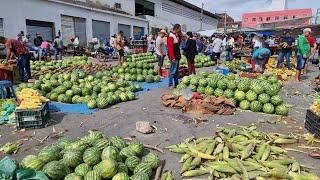 ESSA É UMA DAS MELHORES FEIRAS DO NORDESTE QUE NOS SURPRIENDE COM A QUANTIDADE DE MERCADORIA [upl. by Burra]