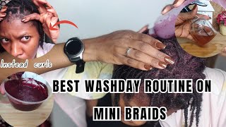 NATURAL HAIR CARE WASHDAY ROUTINE  HOW TO RETAIN LENGTH ON MINI BRAIDS 4C NATURAL HAIR [upl. by Becket]