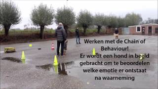 Vlog Bert van Straten  Uitvallende hond [upl. by Libb]