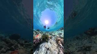 How To Go To Manta Snorkeling at Hanifaru Bay [upl. by Yhtac779]