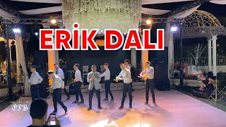 Ömer Faruk Bostan amp Grup Kaşıks  Erik Dalı Canlı Performans [upl. by Nommad]