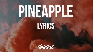 Ty Dolla ign  Pineapple Lyrics feat Gucci Mane amp Quavo [upl. by Nomelihp]