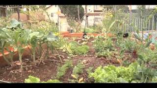 Glassell Park Community Garden [upl. by Brittaney912]