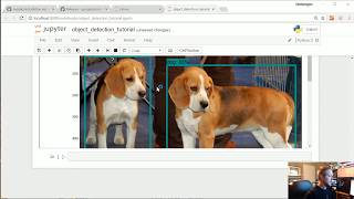 Intro  TensorFlow Object Detection API Tutorial p1 [upl. by Matilde]