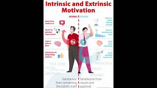 Intrinsic Motivation VS Extrinsic Motivation best motivation [upl. by Hermon]