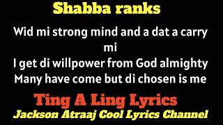 Ting a Ling Instrumental  Shabba Ranks [upl. by Animar]