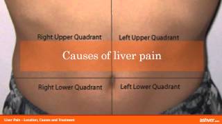 Liver Pain  Location Causes and Treatment [upl. by Lundt]