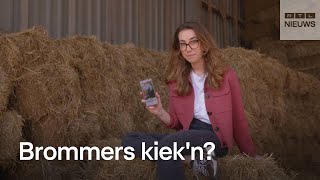 Deze app helpt bij daten op het platteland [upl. by Lossa]