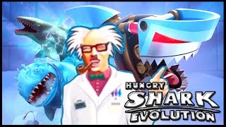 SPECIAL SHARKS  BEST SHARKS  Hungry Shark Evolution All Sharks  ALL EVOLUTION SHARKS GAMEPLAY [upl. by Enneite]