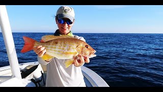 OFFSHORE CLEARWATER FL Snapper grunts kingfish porgies [upl. by Einnaf]