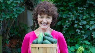 How to Make Pickles with Mairlyn Smith [upl. by Cattier738]