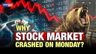 Stock market crash Whats the reason behind the stock market crash today Expert explains [upl. by Minoru]