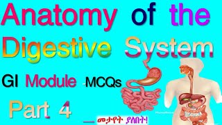 Anatomy of the Digestive System GI Module with MCQs Part 4 Based on the new Ethiopian Curriculum↙ [upl. by Alphonsa]