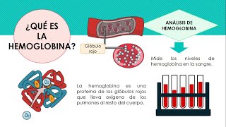 Determinación de Hemoglobina y Hematocrito ‐ Made with Clipchamp [upl. by Rolfston]