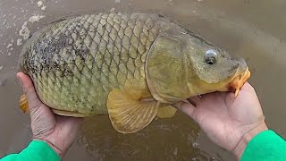 Carp Fishing In Winter  How to keep catching in the cold [upl. by Twedy]