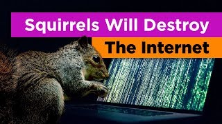 Why Squirrels Are the Greatest Threat to the Internet Feat Tierzoo [upl. by Fillbert]