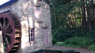 Video tour of the Specialist Gardens at Roundhay Park Leeds UK 1080P [upl. by Onaicul]