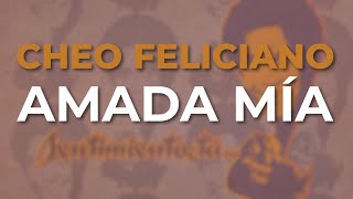 Cheo Feliciano  Amada Mía Audio Oficial [upl. by Darton935]