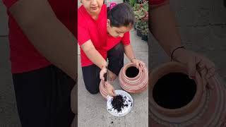 Composting in bucket composting homemade compostwithvapra greenmixpowder waste [upl. by Covell]