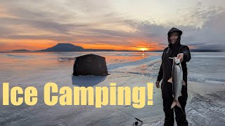 We went ice camping on Lake Simcoe amp caught 3 different speciesPB hit [upl. by Anolahs202]