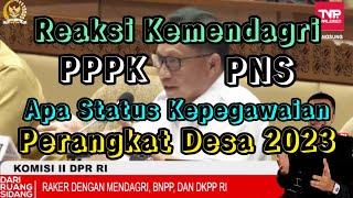 Kabar Status Kepegawaian Perangkat Desa PPPK atau PNS Tahun 2023 [upl. by Remat]