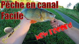 Comment prendre 💢FACILEMENT💢 des Carnas en Canal ❗ Pêche aux LEURRES ❗ [upl. by Florry]