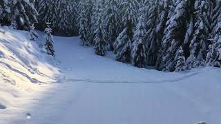 Neuschnee im Biathlonzentrum Obertilliach [upl. by Farwell]