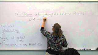 Broward College North Campus  BSC1005  Review Video  Sept 28 2015 [upl. by Gibbons]