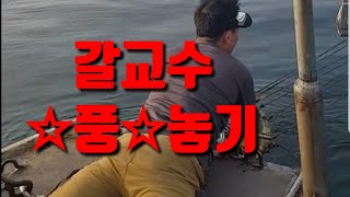 3화갈교수 갈치낚시 풍내리는법 사무장님 혼나고 제가 직접 ㅋ♡4회♡ Big fish Cutlassfish [upl. by Alyosha]