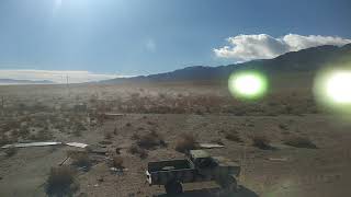 Tumbleweed migration in Dyer NV [upl. by Kolivas]