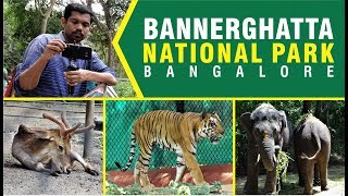 A day in Bannerghatta National Park Bangalore [upl. by Erdnaxela]