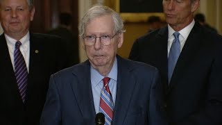 Sen McConnell Freezes During Press Conference [upl. by Trevlac439]