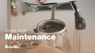 The Bambino® Plus  How to perform a clear water backflush on your espresso machine  Breville USA [upl. by Fredette]