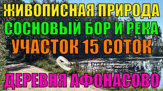 ЭКСКЛЮЗИВНЫЙ УЧАСТОК 15 сот с выходом в сосновый бор и рекой д Афонасово Александровский рн [upl. by Inkster]