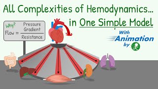 Blood Pressure Blood Flow Resistance and Their Relationship Hemodynamics [upl. by Fuld]