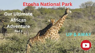 Etosha National Park Namibia [upl. by Madoc]